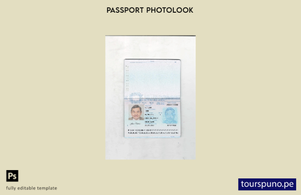 Listo para imprimir la plantilla de página de páginas actuales del pasaporte de 
